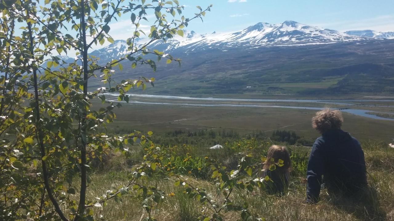 Iceland Yurt Akureyri Zewnętrze zdjęcie