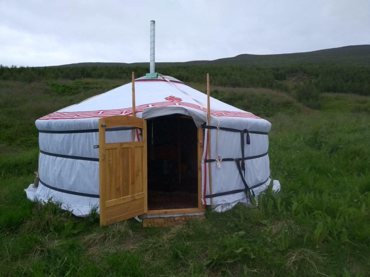 Iceland Yurt Akureyri Zewnętrze zdjęcie