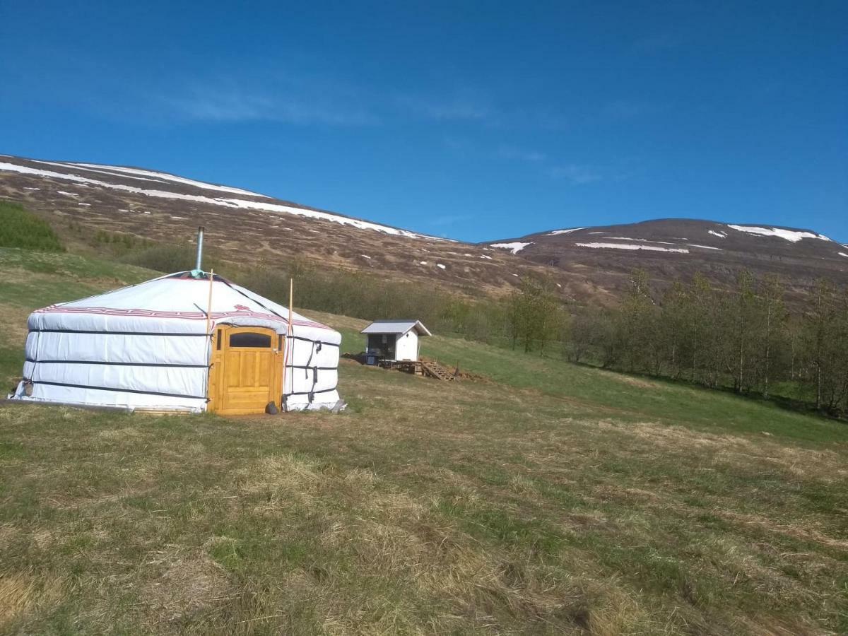 Iceland Yurt Akureyri Zewnętrze zdjęcie