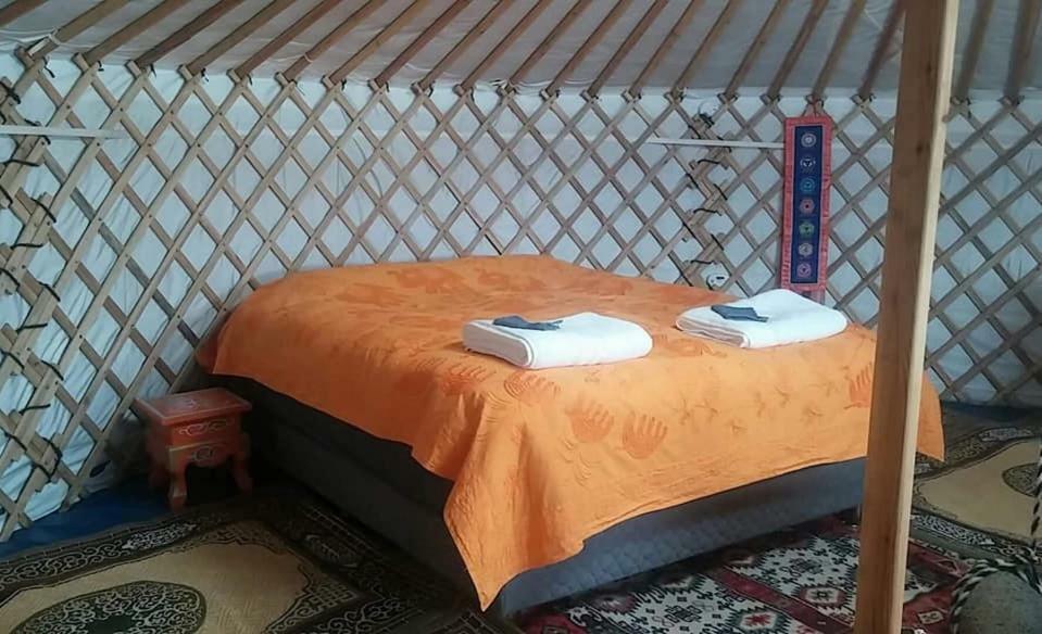 Iceland Yurt Akureyri Zewnętrze zdjęcie
