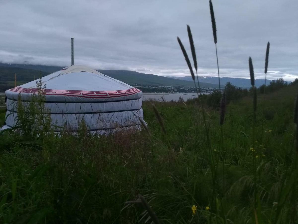 Iceland Yurt Akureyri Zewnętrze zdjęcie