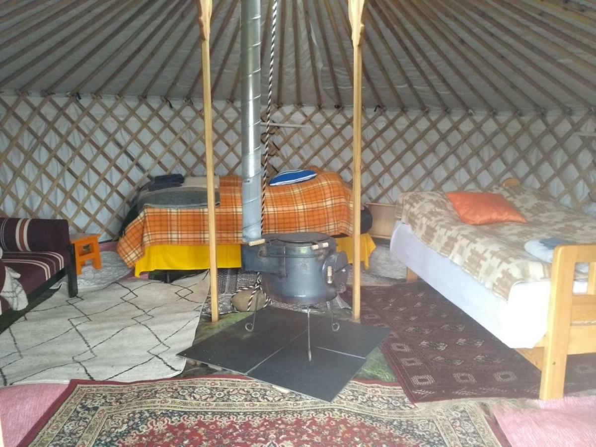 Iceland Yurt Akureyri Zewnętrze zdjęcie